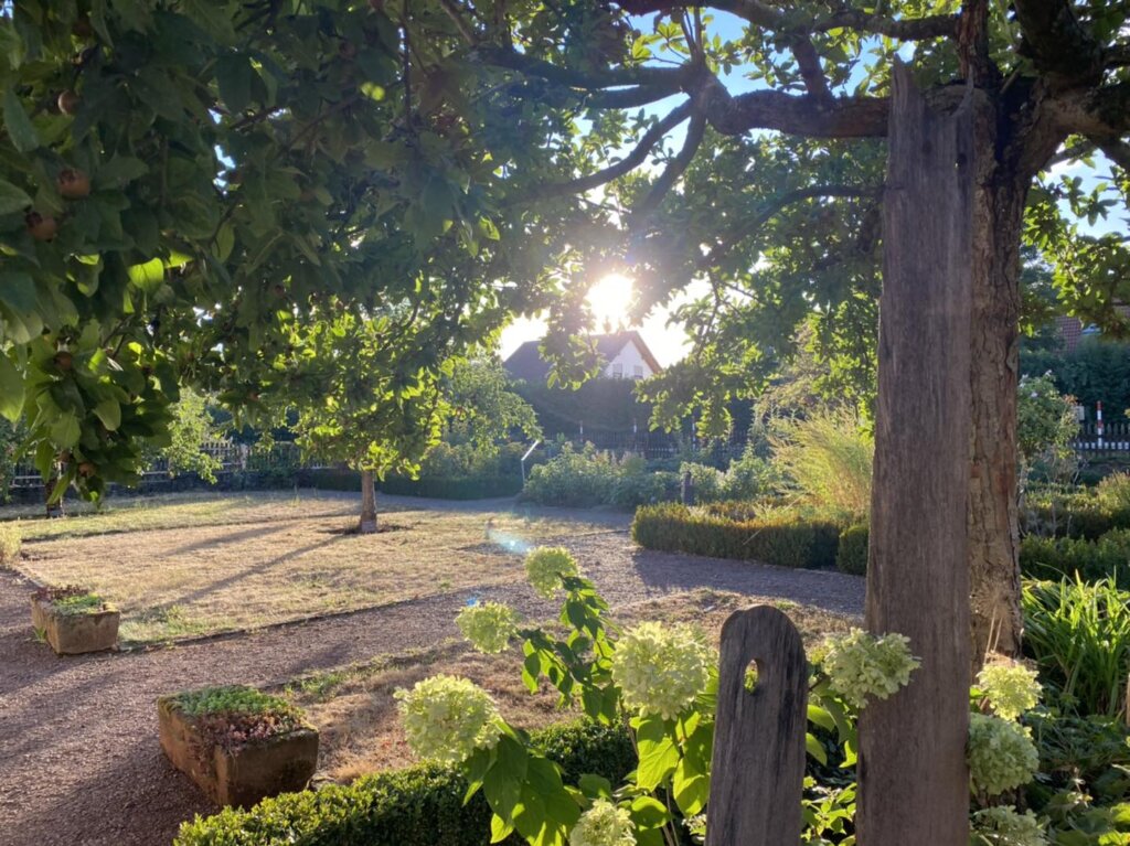 Bauerngarten der Bettinger Mühle an einem Sommerabend